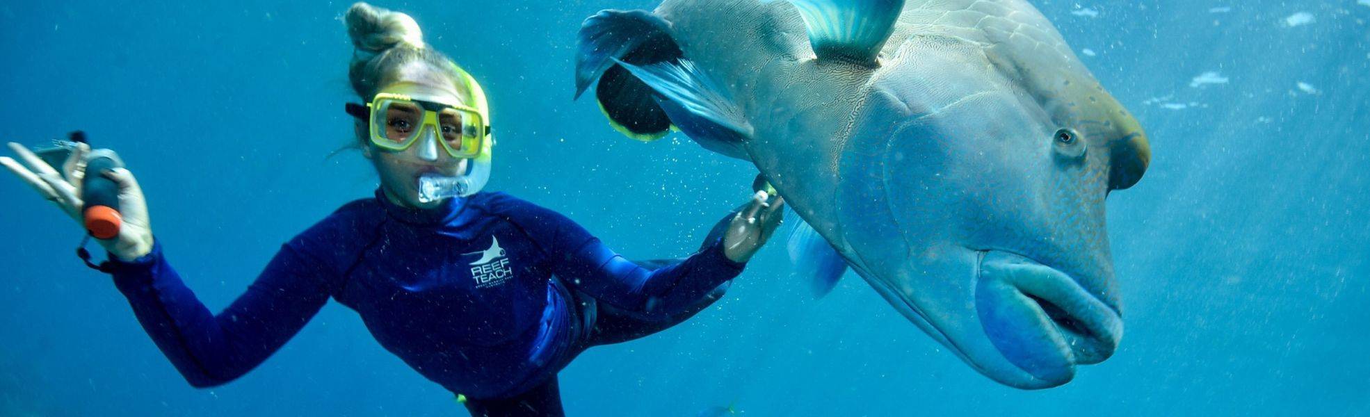 Volunteer bei ihrer Freiwilligenarbeit in Australien