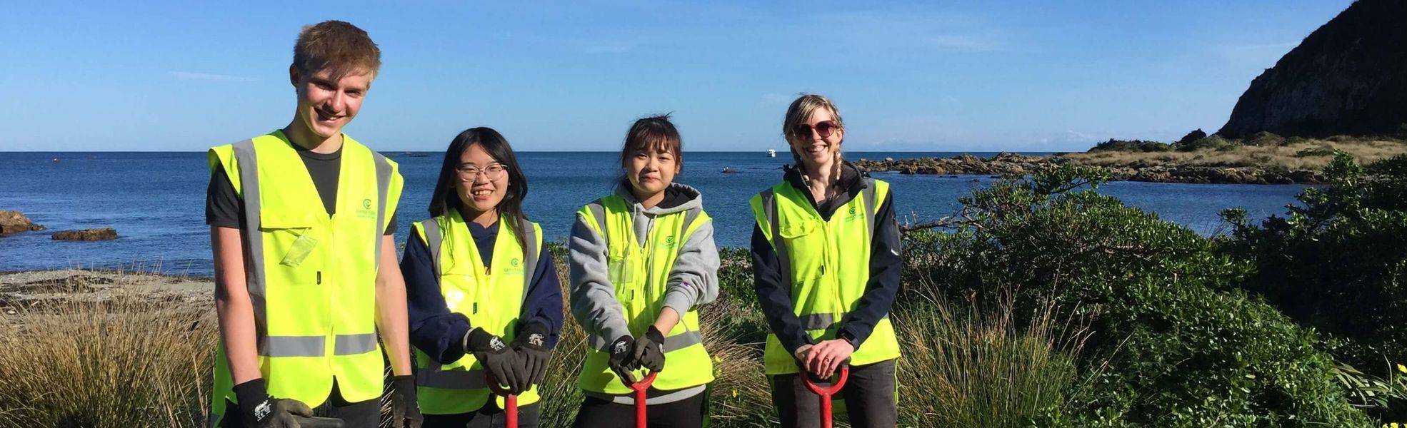 Volunteers bei ihrer Freiwilligenarbeit in Neuseeland