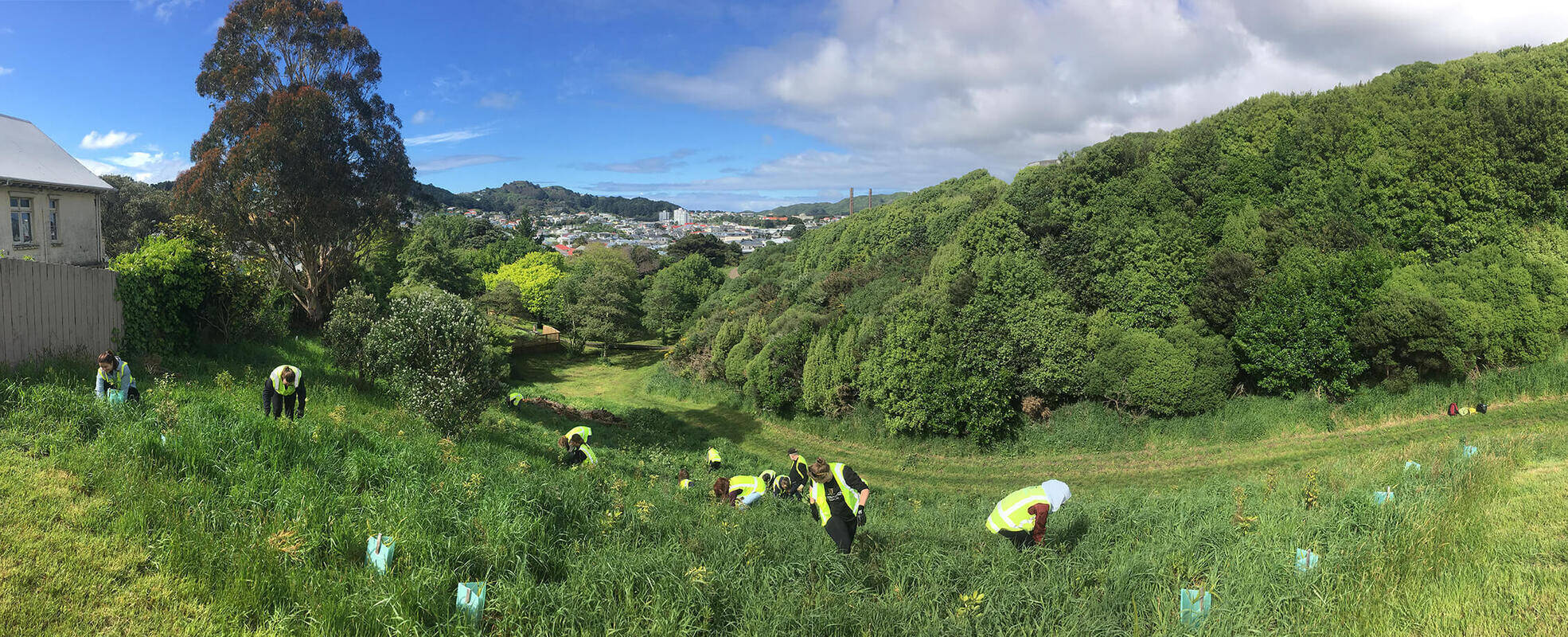Volunteers bei ihrer Freiwilligenarbeit in Neuseeland