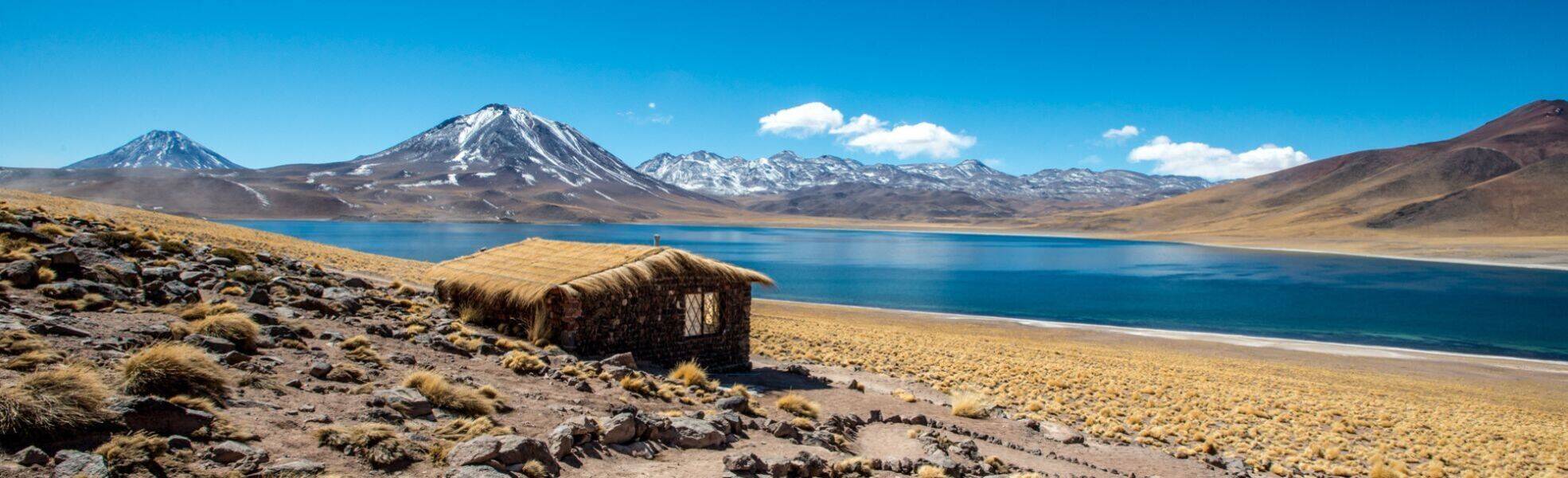 Volunteers bei ihrer Freiwilligenarbeit in Chile