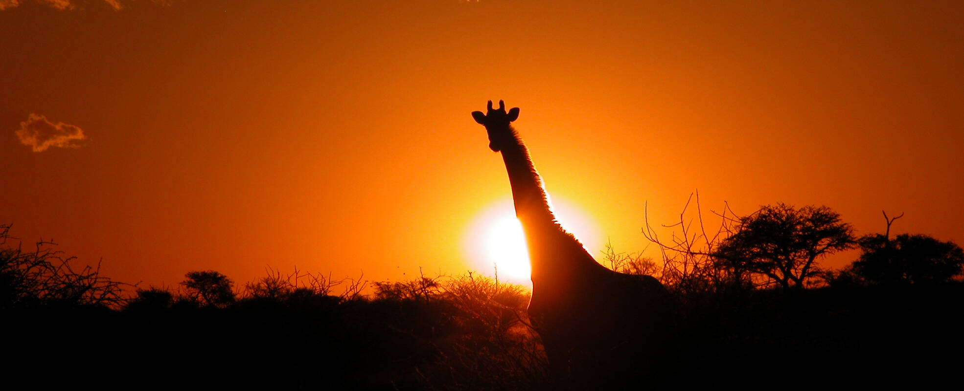 Volunteers bei ihrem Auslandspraktikum in Namibia