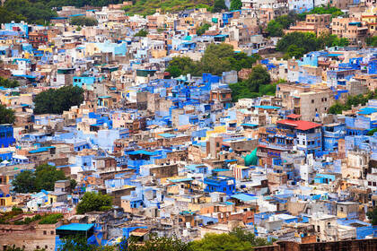 Jodhpur Rooftops