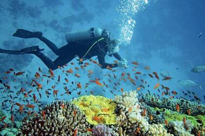 Unterwasserwelt in Thailand