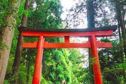 Hakone Torii