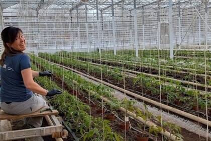 Freiwilligenarbeit im Eco Village in Island