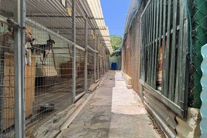 Tierheim Kreta Freiwilligenarbeit