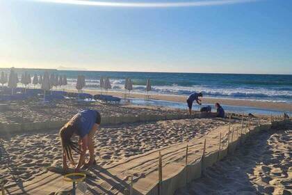 Strand für geschlüpfte Schildkröten vorbereiten 