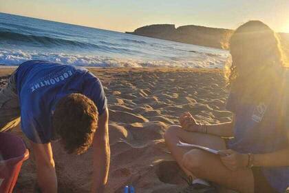Arbeit im Projekt am Strand