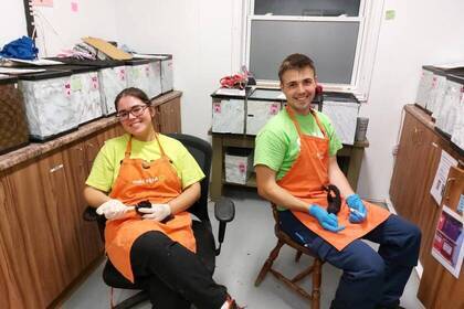 Freiwillige bei der Tierpflege im Projekt