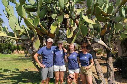Volunteers im Projekt