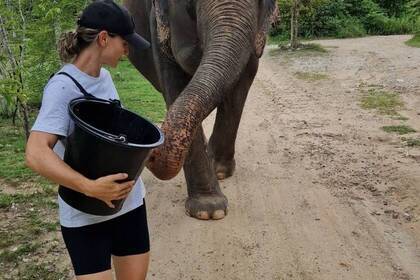 Volunteer mit einem Elefant
