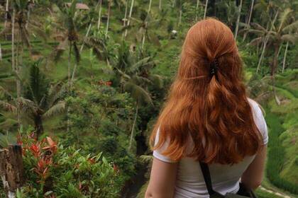 Aussicht auf die Natur Indonesiens