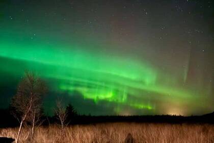 Polarlichter in Island