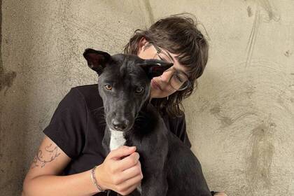 Volunteer mit einem Hund aus dem Projekt