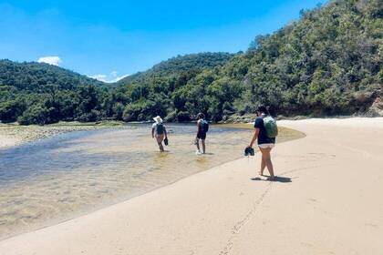 Volunteers am Strand