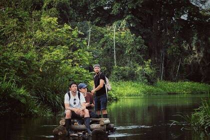 Projekt im Regenwald