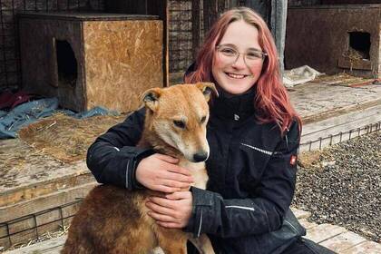 Hundefreundschaft in Rumänien