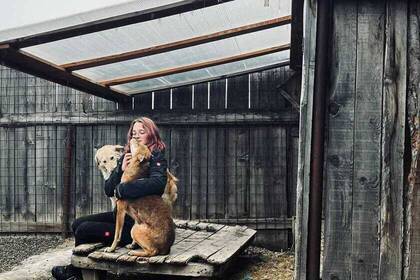 Volunteer kümmert sich liebevoll um die Hunde, Rumänien