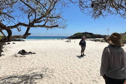 Wunderschöner Strand auf Galapagos