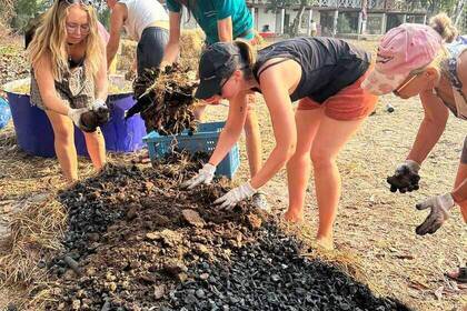 Freiwillige beim Pflanzen