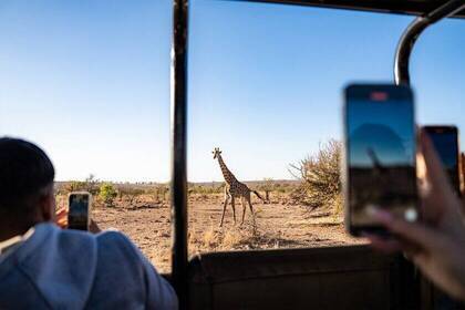 Krüger Nationalpark