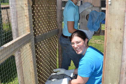 Freiwillige im Projekt