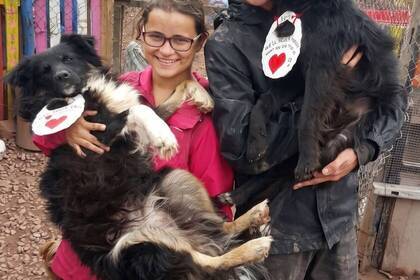 Volunteers mit Hunden