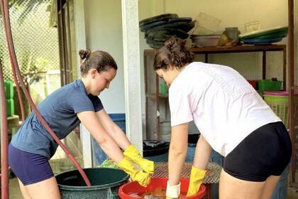 Volunteers bei der Arbeit im Projekt