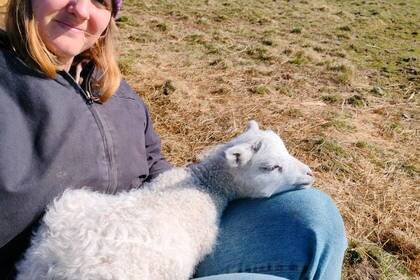 Volunteer mit Lamm