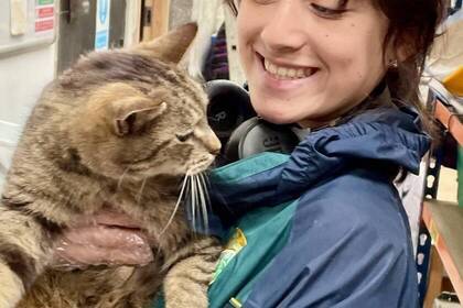 Südirland Tierprojekt Volunteer mit Katze