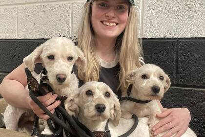 Südirland Tierprojekt Volunteer mit Hunden