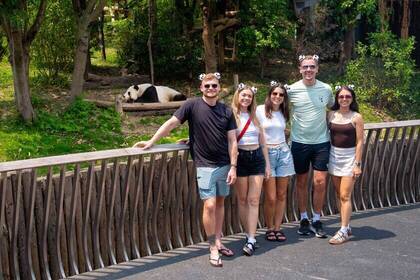 Trip zu den Pandas
