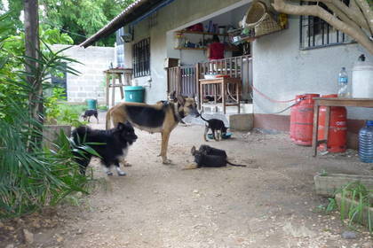 Pferdefarm von außen