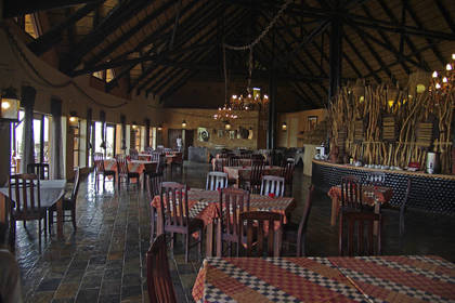 Safari, Rundreisen und Individualreisen Praktikum in Namibia