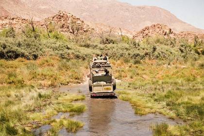 Elefanten Schutz vor Wilderern in Namibia