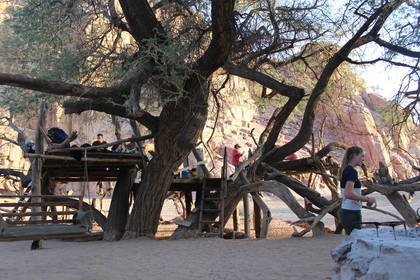Elefanten Schutzprojekt Volunteering in Namibia