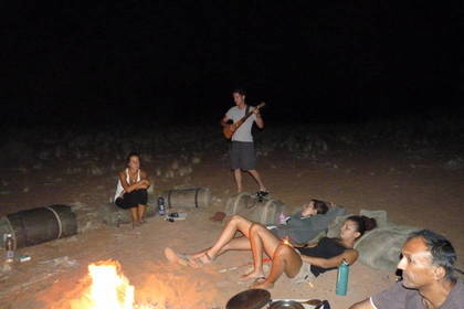 Elefanten Tierschutz Afrika