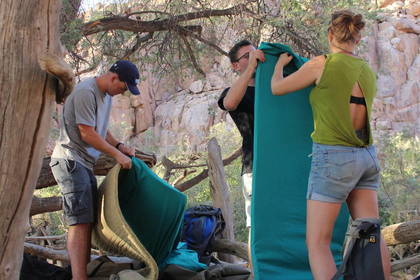 Freiwilligendienst mit Elefanten