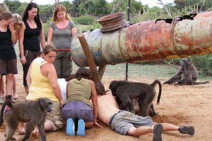 Naturreservat Freiwilligenarbeit in Namibia