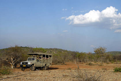 Safari im Etosha Nationalpark