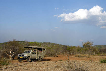 Safari in the Etosha National Park