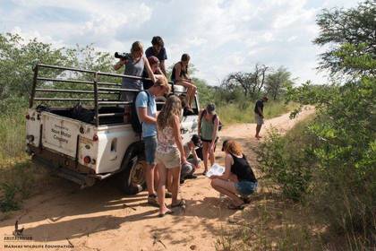 Volunteer in animal tracking project in Namibia