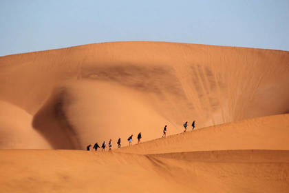 Wüste Namibia Volunteer Tripp