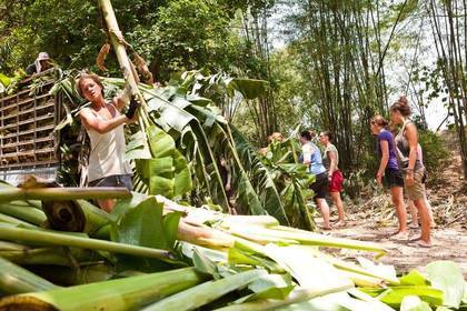 Freiwilligenarbeit im Umweltschutz in Thailand