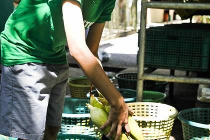 Freiwilligenarbeit in der Tierauffangstation in Thailand
