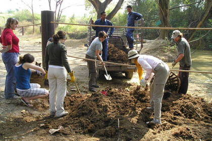 Freiwilligenarbeit Tiere Thailand