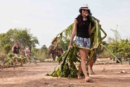 Ökologische Freiwilligenarbeit im Tierschutz Thailand