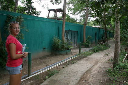 Tierschutz in Thailand