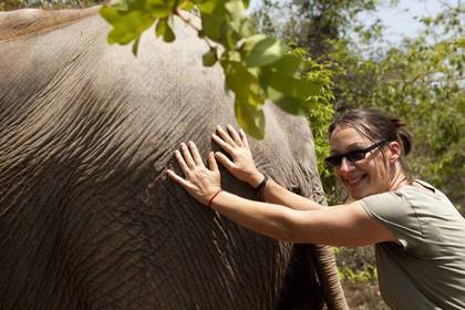 Volunteer elephant project in Asia