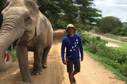 Freiwilligendienst Elefanten Projekt in Thailand